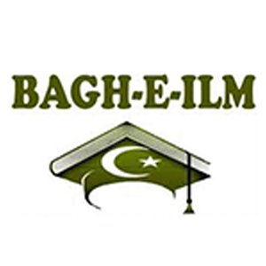 04logo-bhag-e-ilm